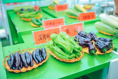 3000余种农作物亮相武汉种博会，端午假期邀市民共赴农业盛宴