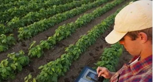 精准农业的5种模式 建议农人们了解一下，助力农业种植提质增效