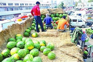 定鼎农业 科技赋能培育新农人，全产业链打造致富新范式