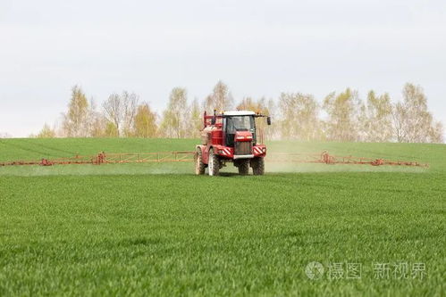 春风化雨亦成灾 春季大风天气下的农业种植与培育要点