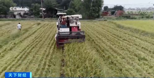 农业培育新进展 科技赋能未来农业