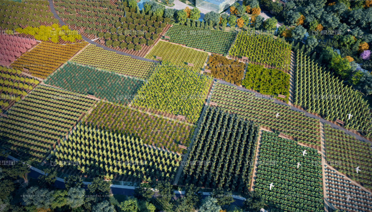 农业培育与农田旅游 自然场景的新融合