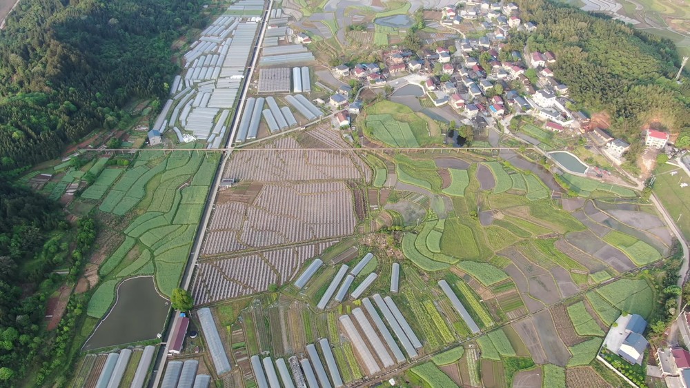 丘陵乡村田园中的农田农业种植与培育